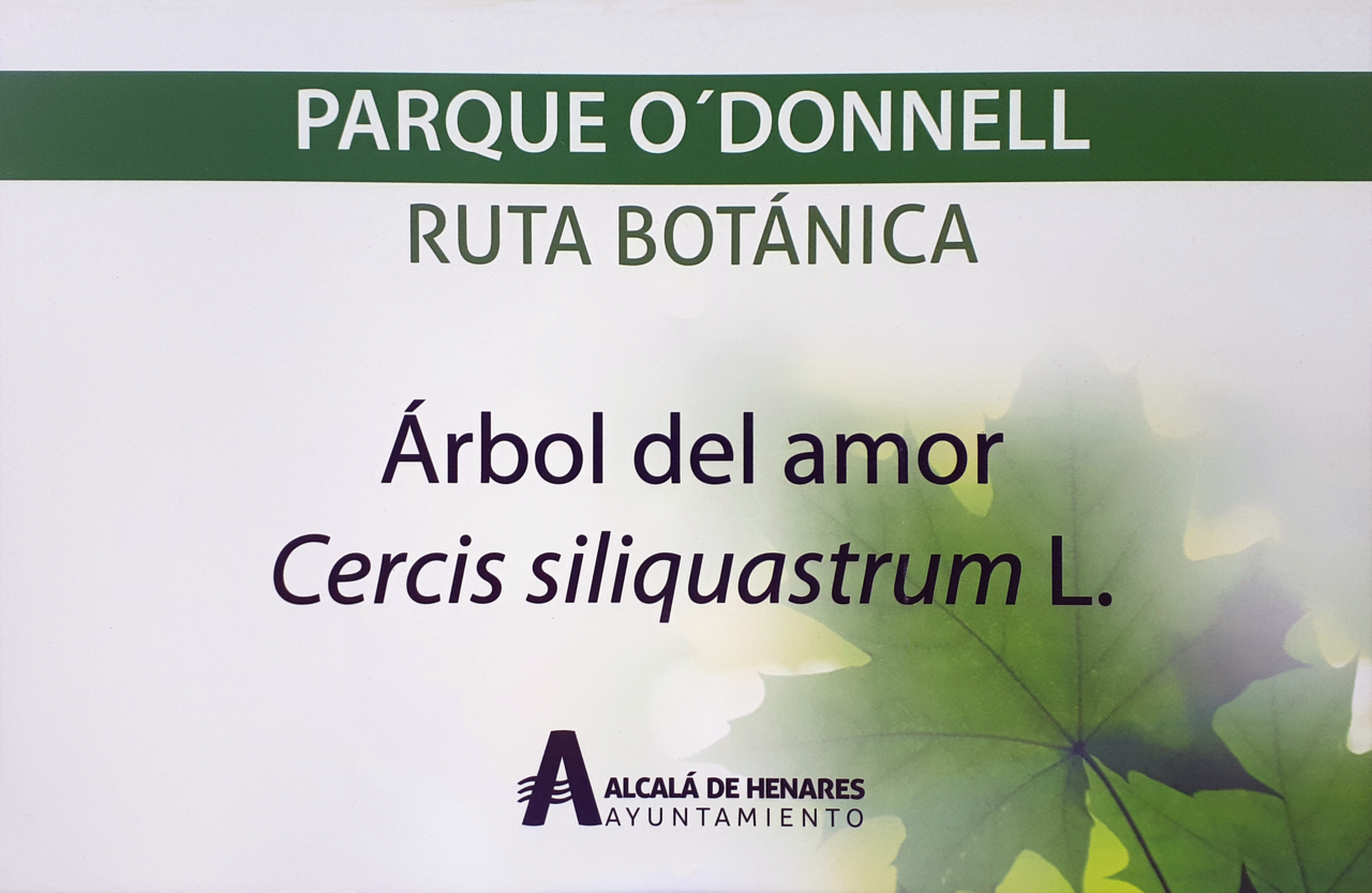 Parque O'Donnell, Alcalá de Henares
